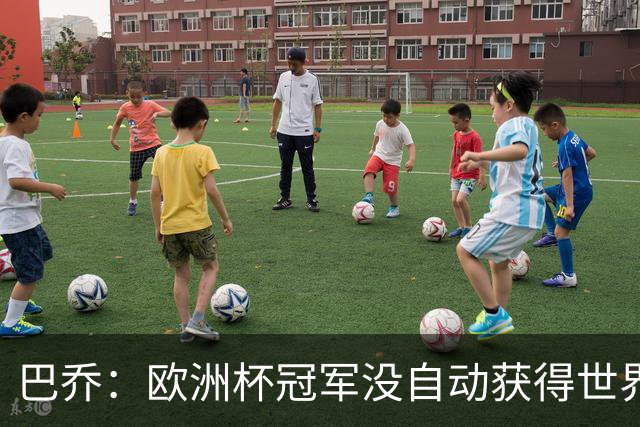 巴乔：欧洲杯冠军没自动获得世界杯资格 这是耻辱